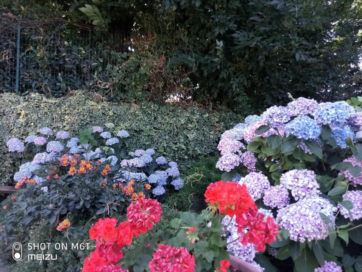 Alloggio Per Uso Turistico Da Margherita ฟีอุจจี ภายนอก รูปภาพ